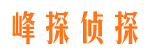 戚墅堰市调查公司